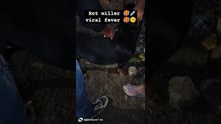 Rot willer viral fever 🥵🥺rottweiler doglover emotional cuteanimal petcomedy said viralshort [upl. by Kent]