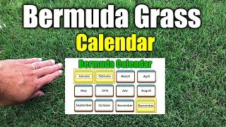 Bermuda Grass Calendar Please See New Calendar in Description [upl. by Eldwen650]