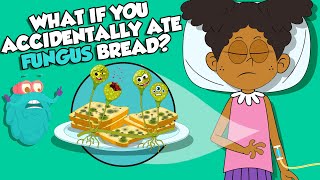 What If You Ate Moldy Bread By ACCIDENT  Types Of Fungi  The Dr Binocs Show  Peekaboo Kidz [upl. by Ertha]