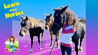 Learn About Horses  Animals for Kids  Educational Videos [upl. by Elyl955]