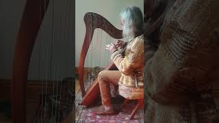 Planxty Irwin Reg Desborough on celtic harp music acoustic [upl. by Allyson925]