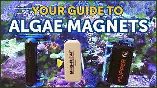 The Best Magnetic Algae Cleaners And How to Choose The Right One For Your Aquarium [upl. by Hadik]