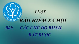 Bao hiem xã hoi Các chế độ BHXH bắt buộc [upl. by Eidnac]