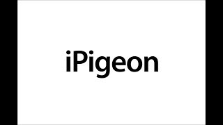 Topigeon iPigeon ETS Field Trial [upl. by Anos53]