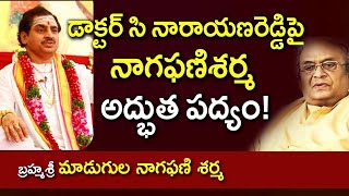 డాక్టర్ సి నారాయణరెడ్డిపై నాగఫణిశర్మ అద్భుత పద్యం Dr Madugula Nagaphani Sarma  Kopparapu Kavulu [upl. by Aenahs]