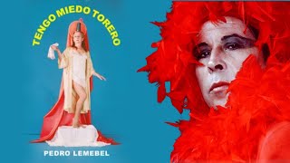 TENGO MIEDO TORERO De Pedro Lemebel Fragmento audio libro [upl. by Wane75]