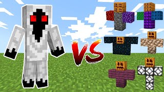 ENTITY 303 vs All Minecraft Bosses  Minecraft Mob Battle [upl. by Eirrok533]