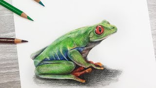 How To Draw a FROG using COLORED PENCIL [upl. by Reid]