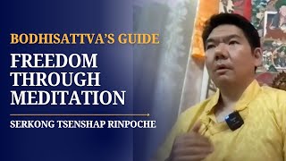 Ch 8 Verse 38  42 May 15th Shantideva  Guide to the Bodhisattvas Way of Life  Serkong Rinpoche [upl. by Doran871]