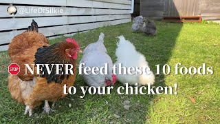 Ten foods not to feed to your chickens backyardchickens freerangechickens [upl. by Partan802]