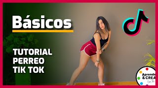 Pasos básicos ✅ Tutorial PERREO TIK TOK 🍑 Explicado paso a paso [upl. by Wandy]