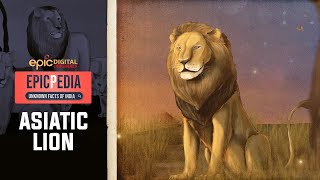 ASIATIC LION  King of India  EPICPEDIA  Unknown Facts of India  Ep 7  Epic TV [upl. by Robertson]