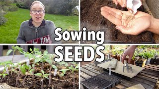 Sowing Seeds Absolutely Everything You Need to Know [upl. by Notlit854]