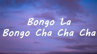 Bongo Cha Cha Cha Lyrics  Caterina Valente  Bongo La Bongo Cha Cha Cha Tiktok Song [upl. by Etnod]