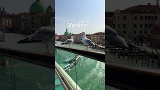 Venice Travel Explore the Floating City’s Beauty and Charm venice italy venicetravel venezia [upl. by Niaz]