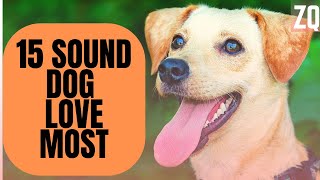 15 Sounds Dogs Love To Hear The Most  Sound Effects HD [upl. by Trotter]