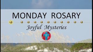 Monday Rosary • Joyful Mysteries of the Rosary 💙 July 24 2023 VIRTUAL ROSARY  MEDITATION [upl. by Kinnie524]