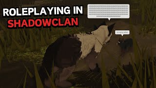 Attempting to Roleplay in ShadowClan Warrior Cats Ultimate Edition [upl. by Ifok]