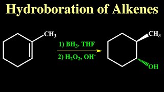 Hydroboration of Alkenes [upl. by Eiznekcm954]