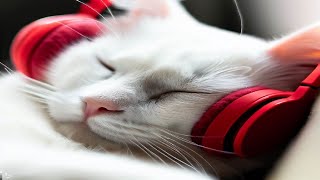 この音楽は、猫を落ち着かせ、🐱1分もかからずに眠るのに役立ちます。猫のための音楽 【 CATS MUSIC BGM 2023】猫の音楽 [upl. by Sirahs418]