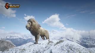 Lion Games Animal Simulator 3D [upl. by Erdnad]