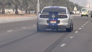 850HP Ford Shelby GT500 SVT from HELL [upl. by Lachman]