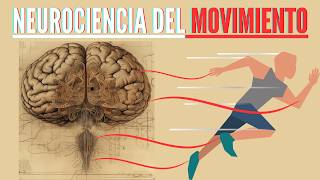 Neurociencia del movimiento y su control [upl. by Mw]