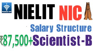 NIELIT NIC Scientist B Salary  Duties  Promotion [upl. by Ardnuhsor]