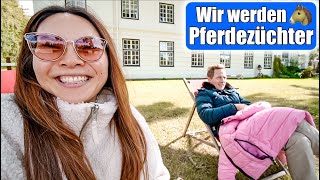 Wir werden Pferde Züchter 🐎 Besuch auf dem Gestüt 1 Tag Ponyhof Mamiseelen [upl. by Cayla]