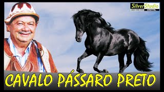 ZÉ DE ALMEIDA  CAVALO PÁSSARO PRETO [upl. by Ididn]