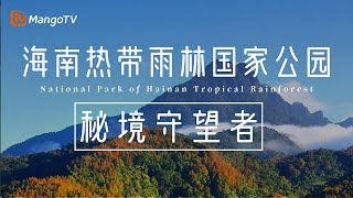 《海南热带雨林国家公园》第6集：秘境守望者 植物天堂 自然纪录片  湖南卫视芒果TV纪录片 [upl. by Rodenhouse865]