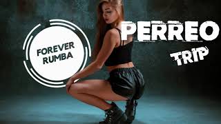 Perreo Trip  DJ Roviz Forever Rumba [upl. by Raybin]