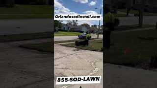 Orlando Sod Install  Saint Augustine Provista a Dark Green Lawn in Winter Park Fl [upl. by Virginia]