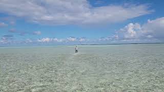 Cuban Bonefish on Tenkara [upl. by Haelam220]