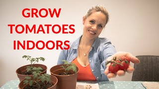 HOW TO GROW TOMATOES INDOORS  Quick amp easy [upl. by Buxton]