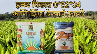 हळद पिकात 05234 आणि झिंदा देण्याचे फायदेथंडीत झिंदाचं का Mono Ammonium Phosphate NPK 005234 [upl. by Yornek]