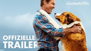 BAILEY  Ein Hund kehrt zurück I Offizieller Trailer [upl. by Fletcher815]