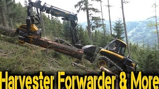 Ponsse Bear  Steep Slope Harvesting [upl. by Troxell]