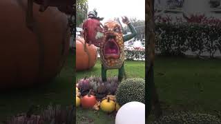 Halloween in EuropaPark und Rulantica  neues Video vom Quadruvium Club shorts [upl. by Nannie429]