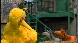 Sesame Street  Buster Meets Summer Squall [upl. by Sommer]