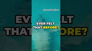 Sea Lice are closer than you think sealice scary creepy underwater ocean facts sealife [upl. by Kurys]