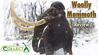 Collecta quotDeluxequot Woolly Mammoth Review [upl. by Ibur285]