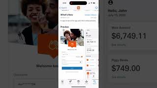 Money Network Mobile App  full overview amp how to use [upl. by Yeldar]