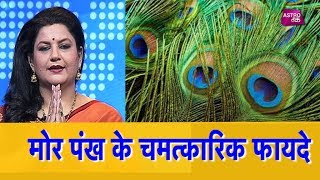 मोर पंख के चमत्कारिक फायदे  Panditain  Chhavi Sharma  Astro Tak [upl. by Zipporah]