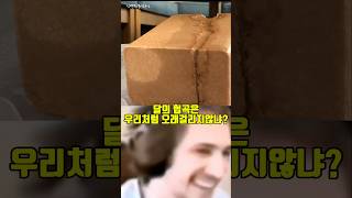 달의 협곡의 비정상적인 생성과정 [upl. by Loeb]