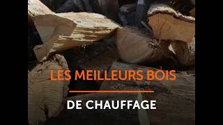 Les meilleurs bois de chauffage [upl. by Naol]