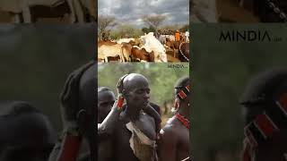 African Rituals Ethiopian tribes [upl. by Anirpas36]