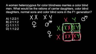 Pedigree Analysis  XLinked Recessive Inheritance  XLinked Recessive Conditions  Genetics [upl. by Ib]