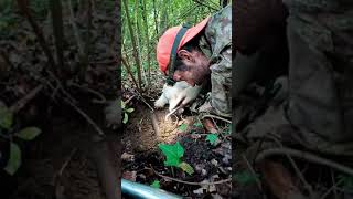 Andare a Tartufi che AVVENTURA la MAGIA della cerca del TartufoBianco con il Lagotto Romagnolo [upl. by Enyala]