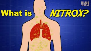 What is Nitrox  SCUBA 101 [upl. by Matilda494]